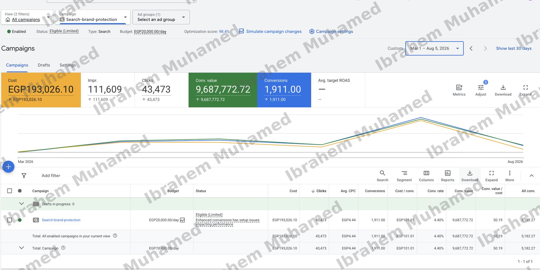 Google brand protection search campaign