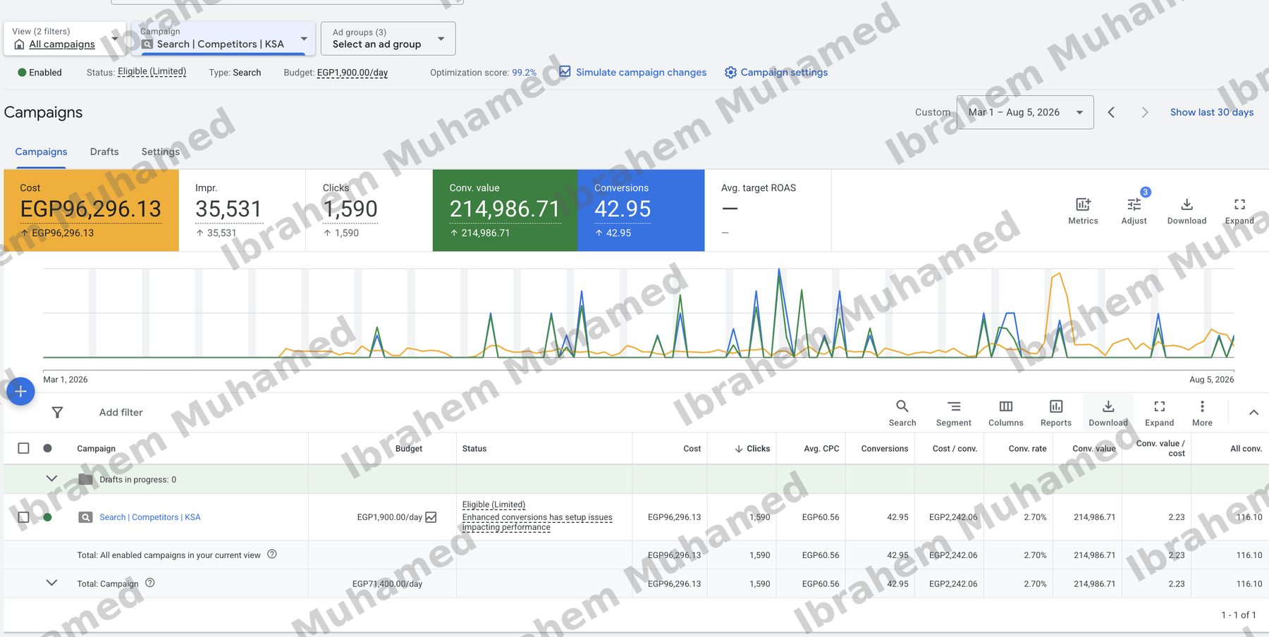 Google competitors search campaign, 2.23 conv value per cost